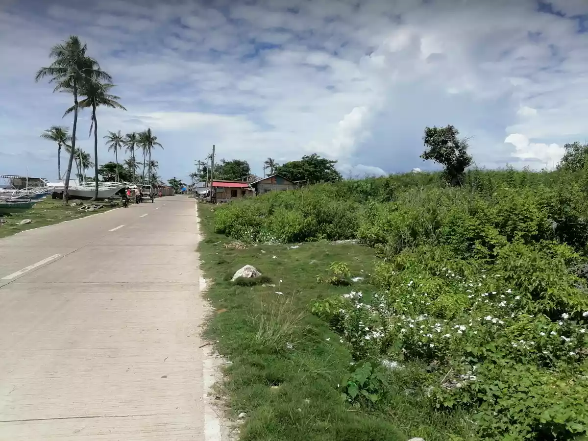 Tax Declaration — Beach Lot in Lapu-Lapu City, Philippines — Photo 4