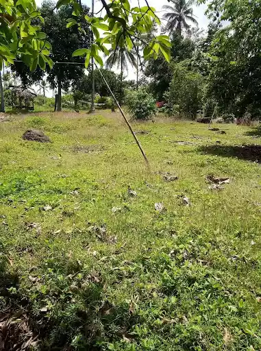 LOT FOR SALE