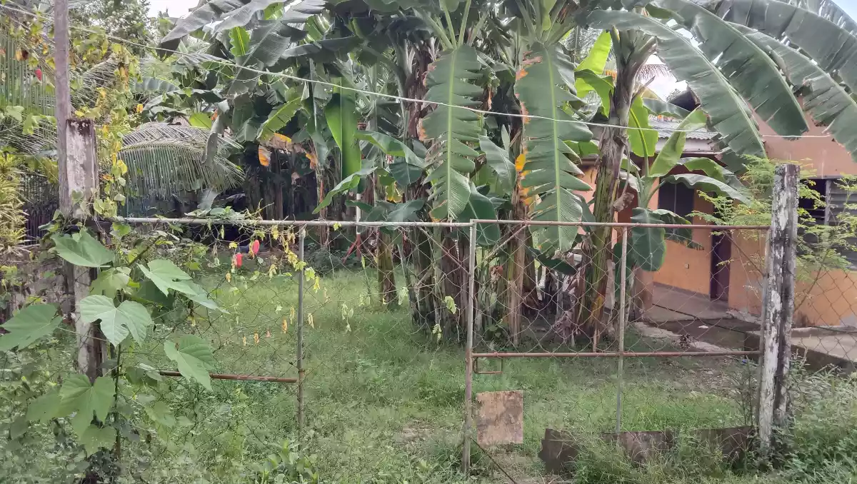 Titled Lot for Sale  - photo 4