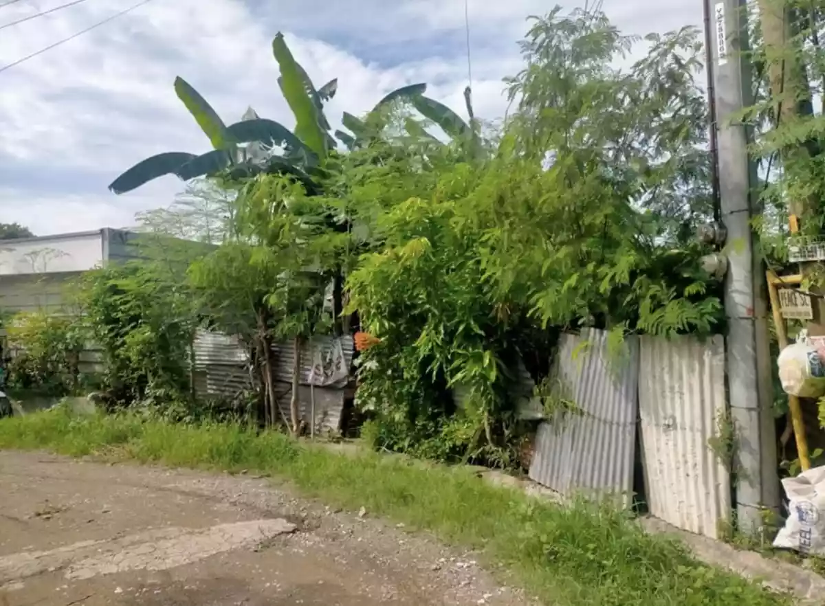 RESIDENTIAL LOT IN LIPATA MINGLANILLA  - photo 3