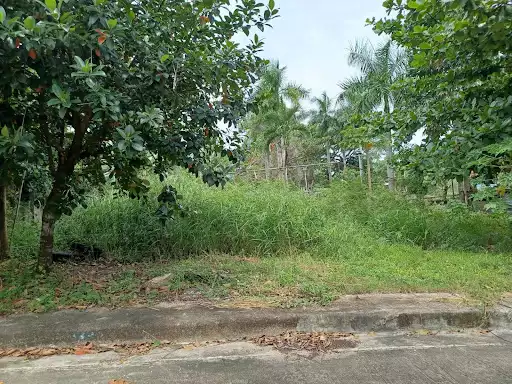 164sqm residential lot in El Monteverde in Lamac Consolacion — Residential Lot in New Orleans Street, Lamac, Consolacion — Photo 2