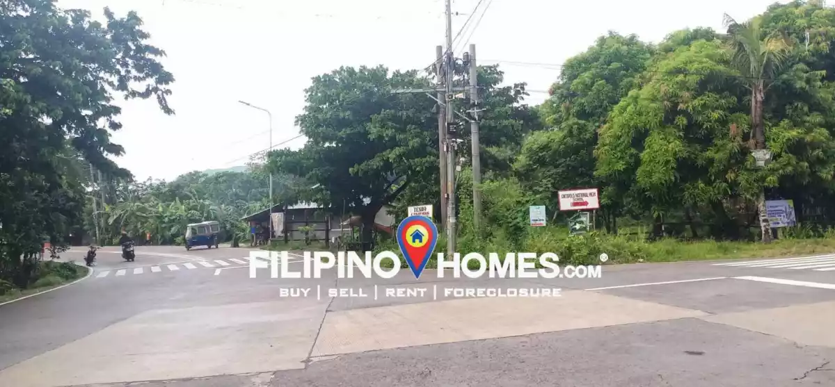Residential lot — Residential Lot in Minalabac, Camarines Sur, Philippines — Photo 3
