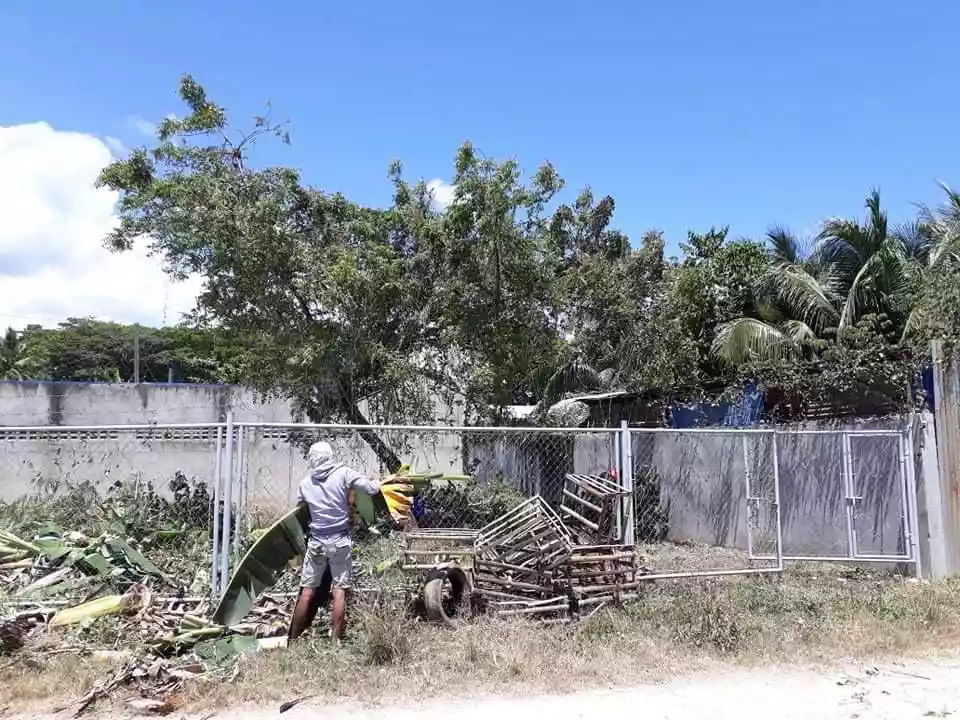 241 SQM Residential Lot for Sale in Magay, Compostela — Residential Lot in Cebu, Philippines — Photo 4