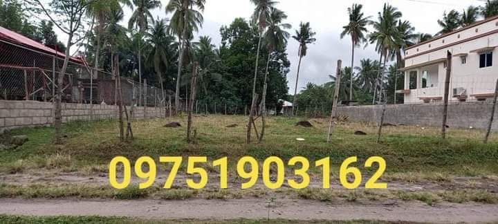 Affordable Clean title Lot for Sale in Talay, Dumaguete City — Agricultural Lot in Negros Oriental, Philippines — Photo 2