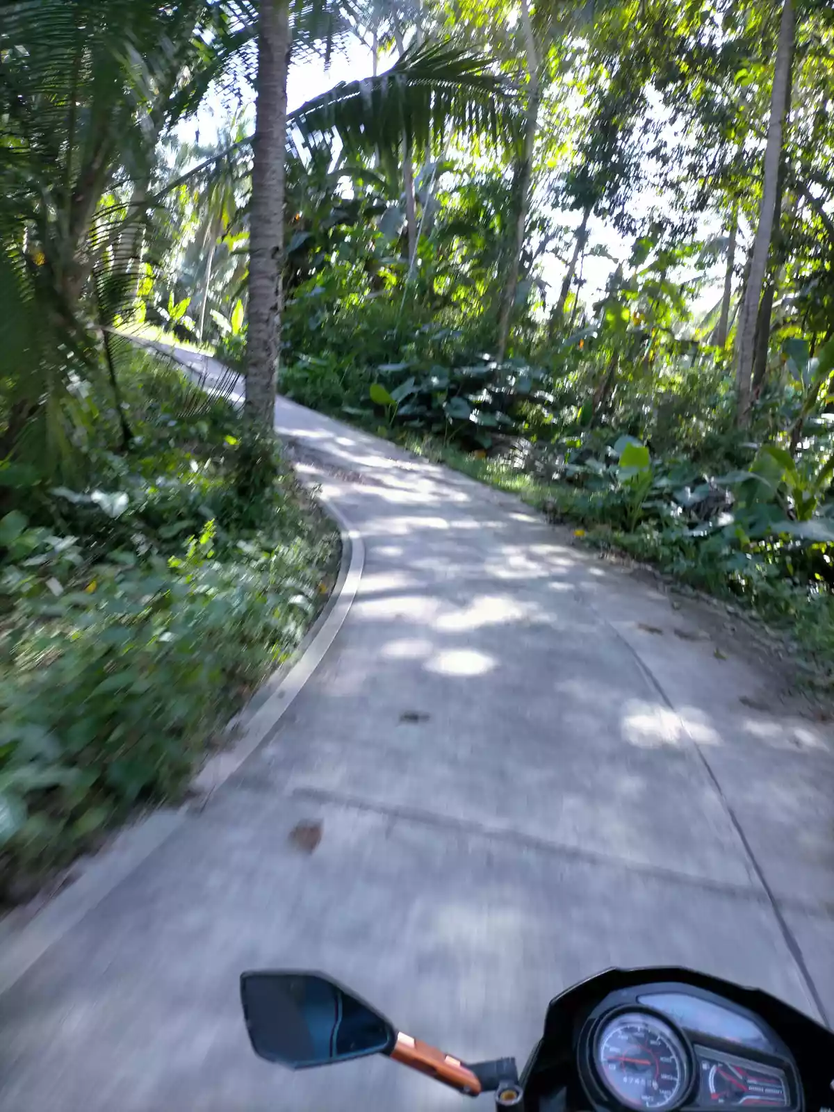 Lot for sale - photo 6