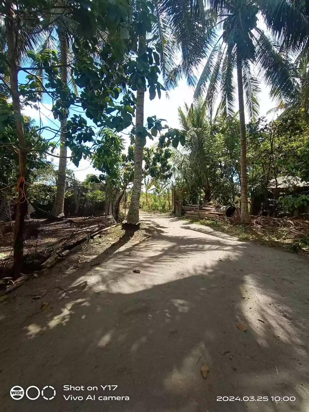 1 HECTARE FOR SALE IN POLOMOLOK — Agricultural Lot in Polomolok, South Cotabato, Philippines — Photo 2