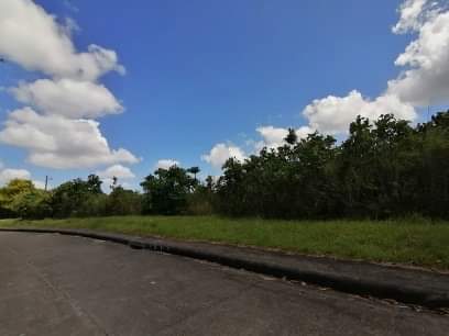 Lot for sale in alta vista — Residential Lot in Cebu, Philippines — Photo 2