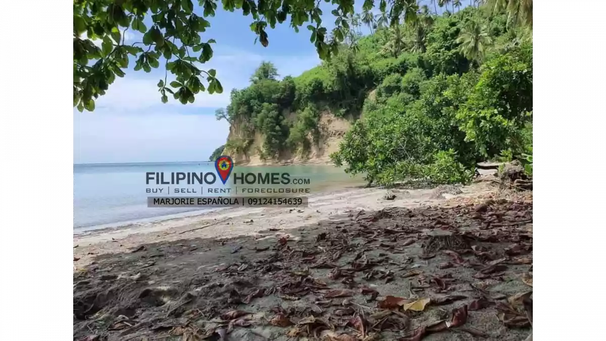 BEACH LOT FOR SALE (GLAN) — Beach Lot in Sarangani, Philippines — Photo 5