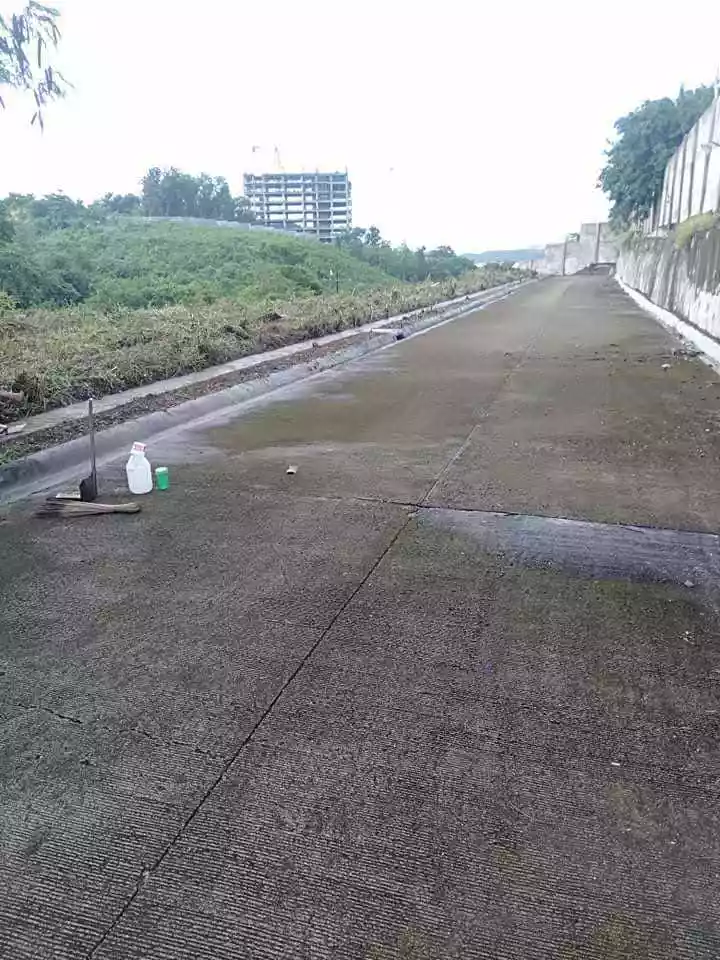 Lot only — Residential Lot in Cebu, Philippines — Photo 6