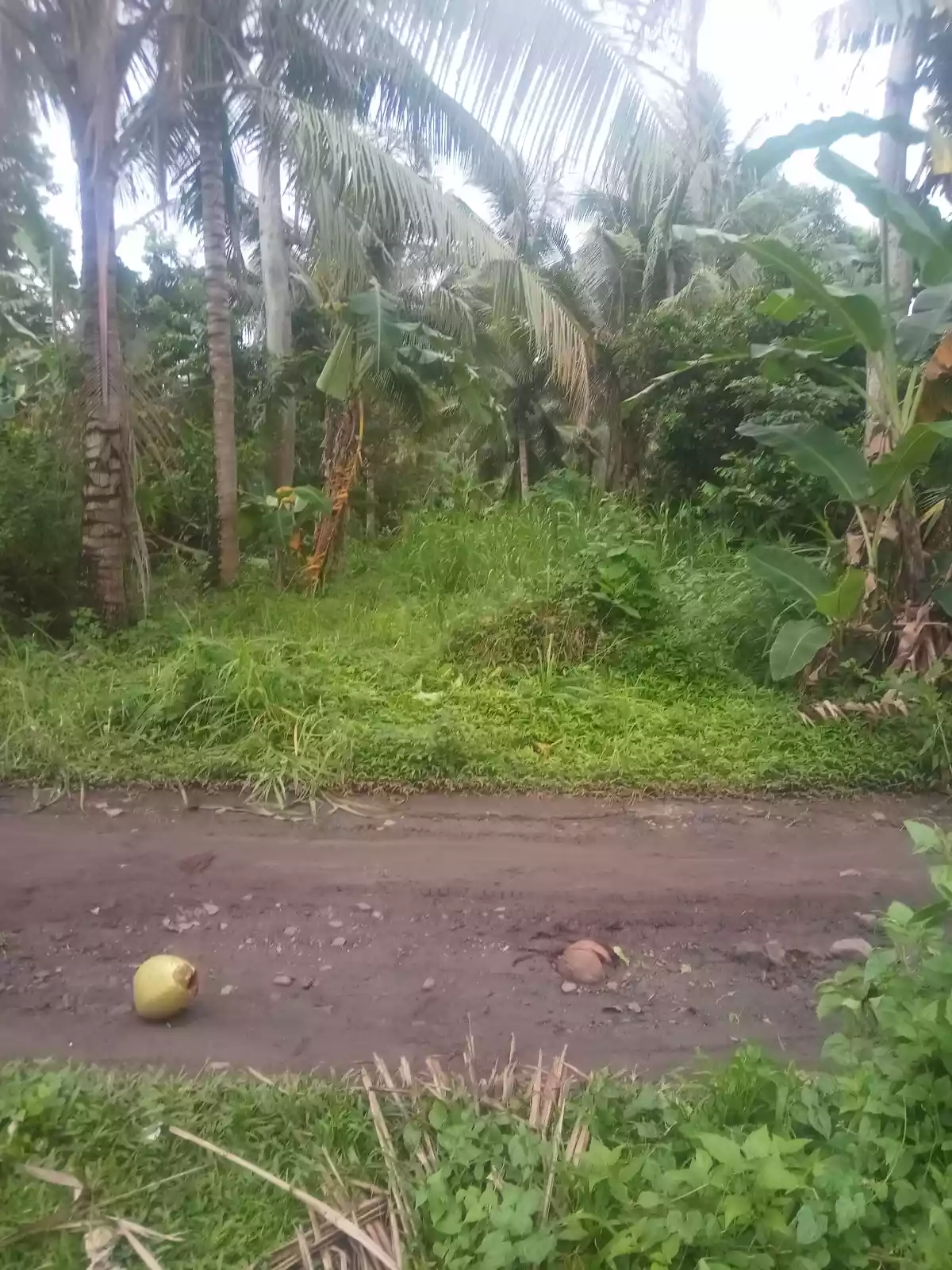 Bong ao Valencia Negros Oriental