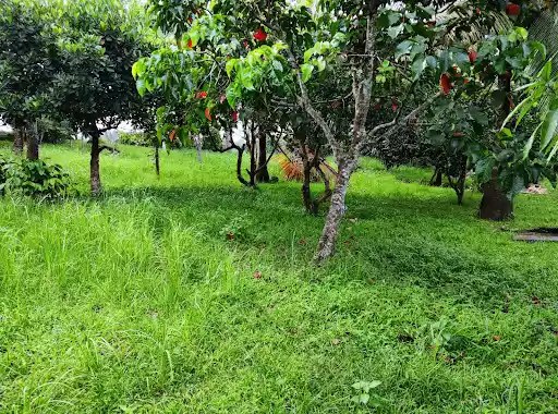 Vacation House in Casile Cabuyao, Laguna — House and Lot in Cabuyao, 4025 Laguna, Philippines — Photo 6