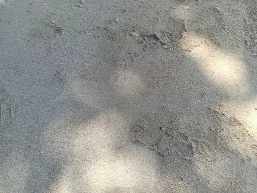 White sand beach — Beach Lot in Butuan City, Agusan Del Norte, Philippines — Photo 3
