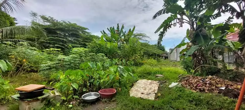 Residential Lot for Sale — Residential Lot in Cabantian Road, Buhangin, Davao City — Photo 5