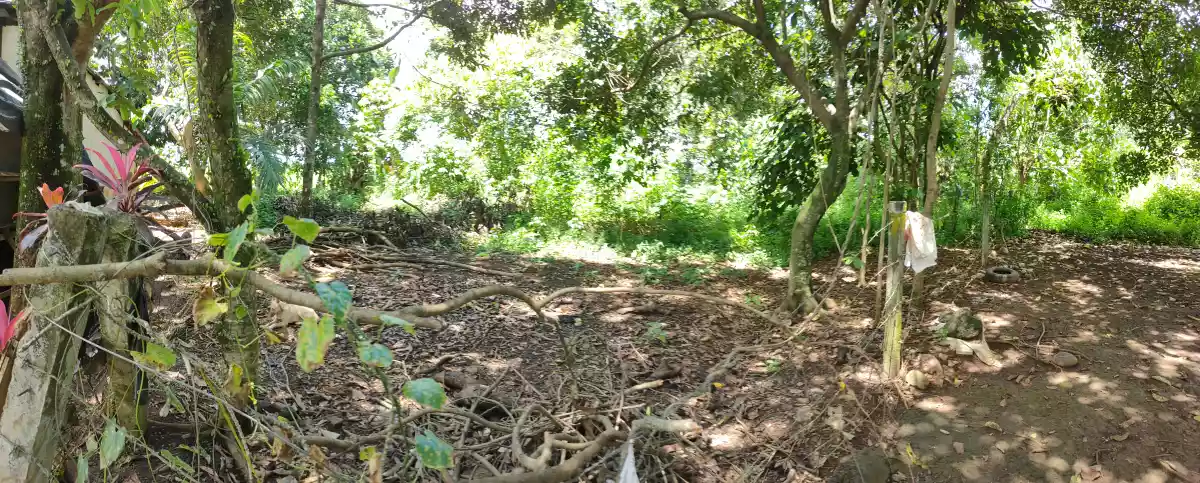 LOT for Sale in Bagontaas, Valencia City — Agricultural Lot in Valencia City, Bukidnon, Philippines — Photo 5
