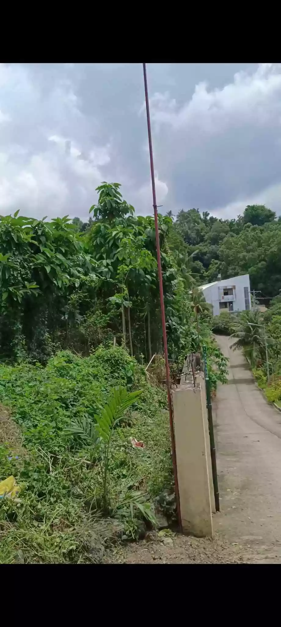 Titled Lot in Talisay For Sale — Residential Lot in Talisay, Cebu, Philippines — Photo 3