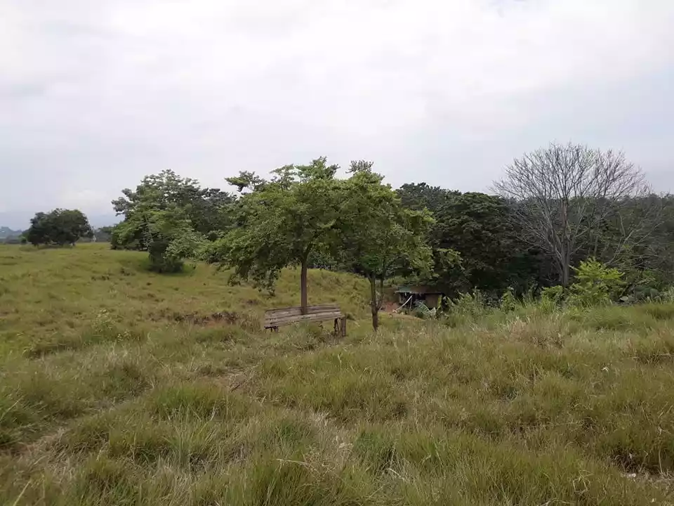 UPTOWN CAGAYAN DE ORO CITY RESIDENTIAL LOT - photo 4