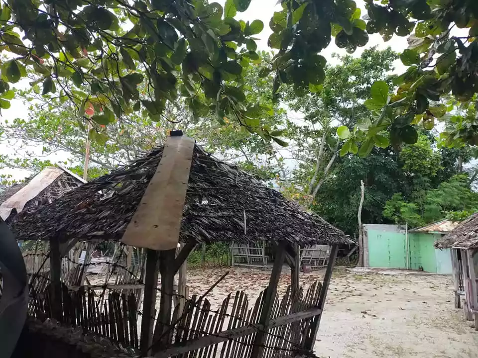 390sqm beachfront clean title lot with white sand for sale in Poblacion Baclayon Bohol - photo 5