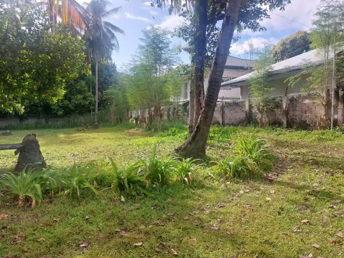 Open photo 23 of 26 — Farm Lot Convertible to Residential