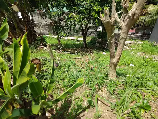 Vista Grande Lot — Residential Lot in Rio de Janeiro Street, Talisay, Cebu — Photo 4