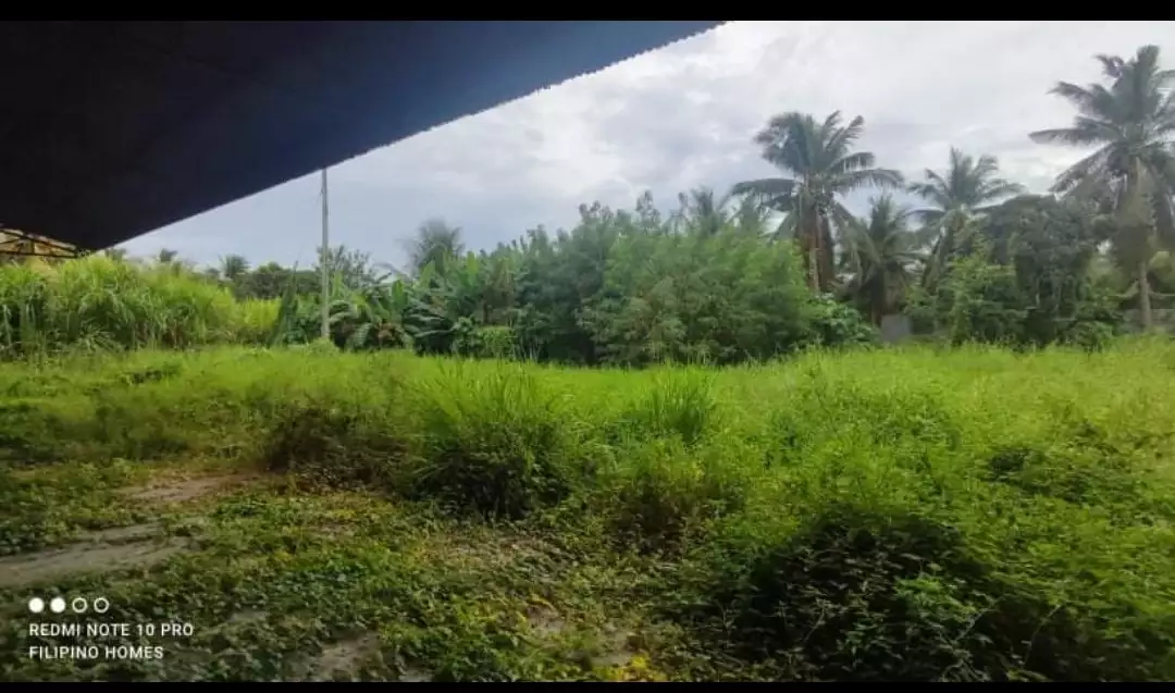 4800 sqm  lot w/ 800sqm Warehouse - photo 4