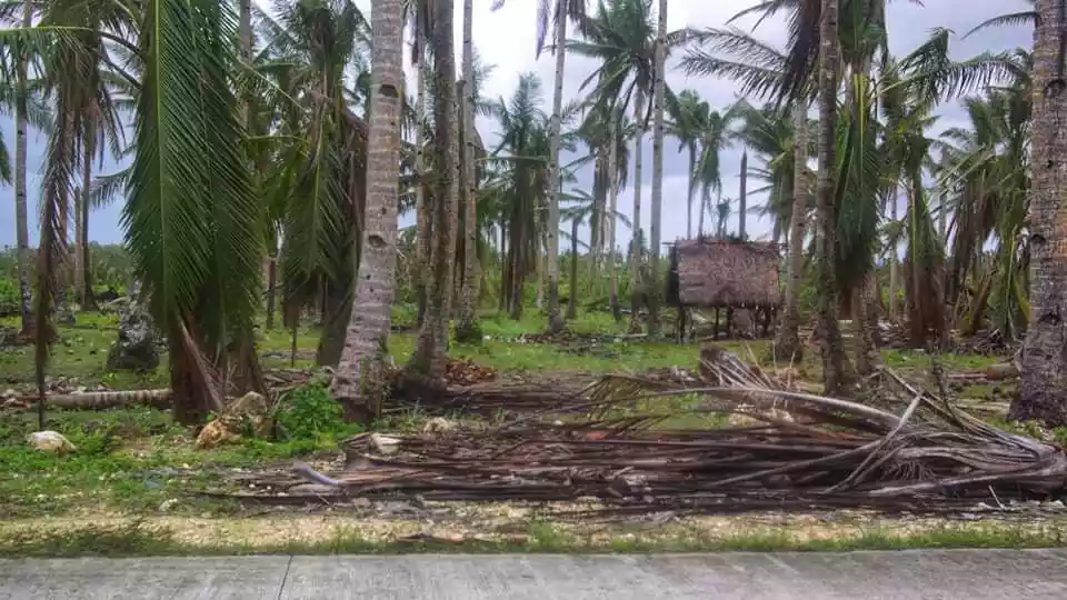 FLAT LANDS FOR SALE IN GENERAL LUNA,SIARGAO — Agricultural Lot in General Luna, Surigao del Norte, Philippines — Photo 4