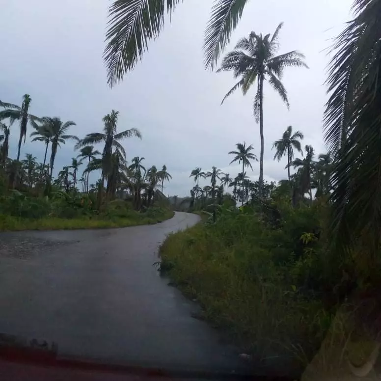 LOT FOR SALE IN CANCOHOY, DEL CARMEN, SIARGAO ISLANDS — Agricultural Lot in Surigao del Norte, Philippines — Photo 6