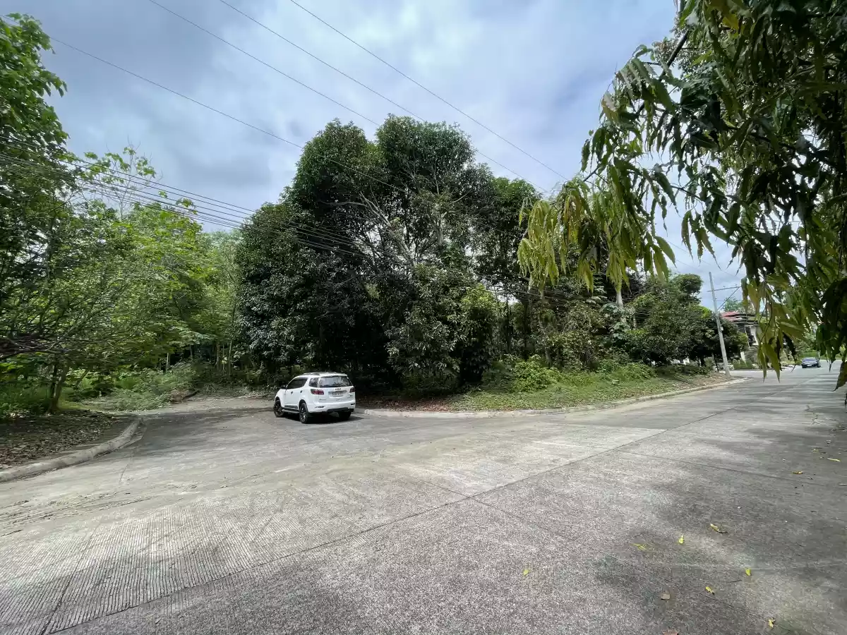 Open photo 19 of 19 — Las Terrazas Lot for Sale