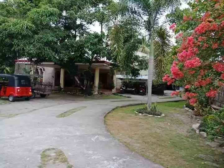 BEACH LOT FOR SALE IN DUMAGUETE CITY - photo 5