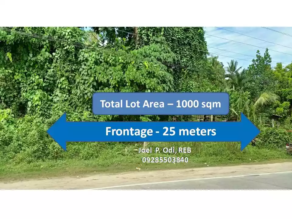 For Sale: LOT ( classified as commercial & residential ) along main highway at Samal Island Davao — Commercial Lot in Samal, Island Garden City of Samal, Davao del Norte — Photo 2