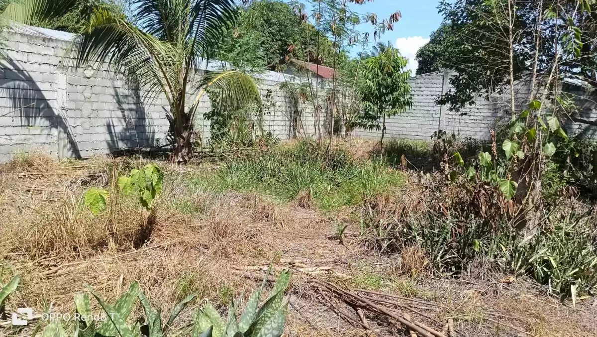 375sqm Residential Lot For Sale at Brgy. Fatima Uhaw — Residential Lot in General Santos City, South Cotabato, Philippines — Photo 5
