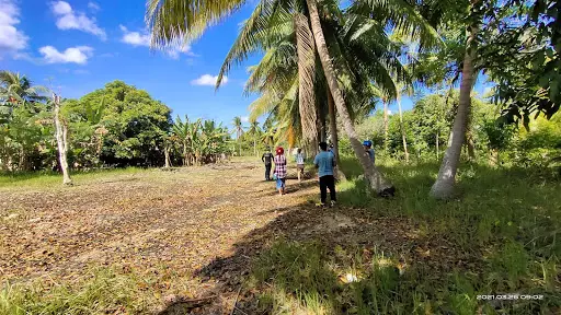 Tiltled Lot (No.0-25563) — Residential Lot in Moalboal, Cebu, Philippines — Photo 4