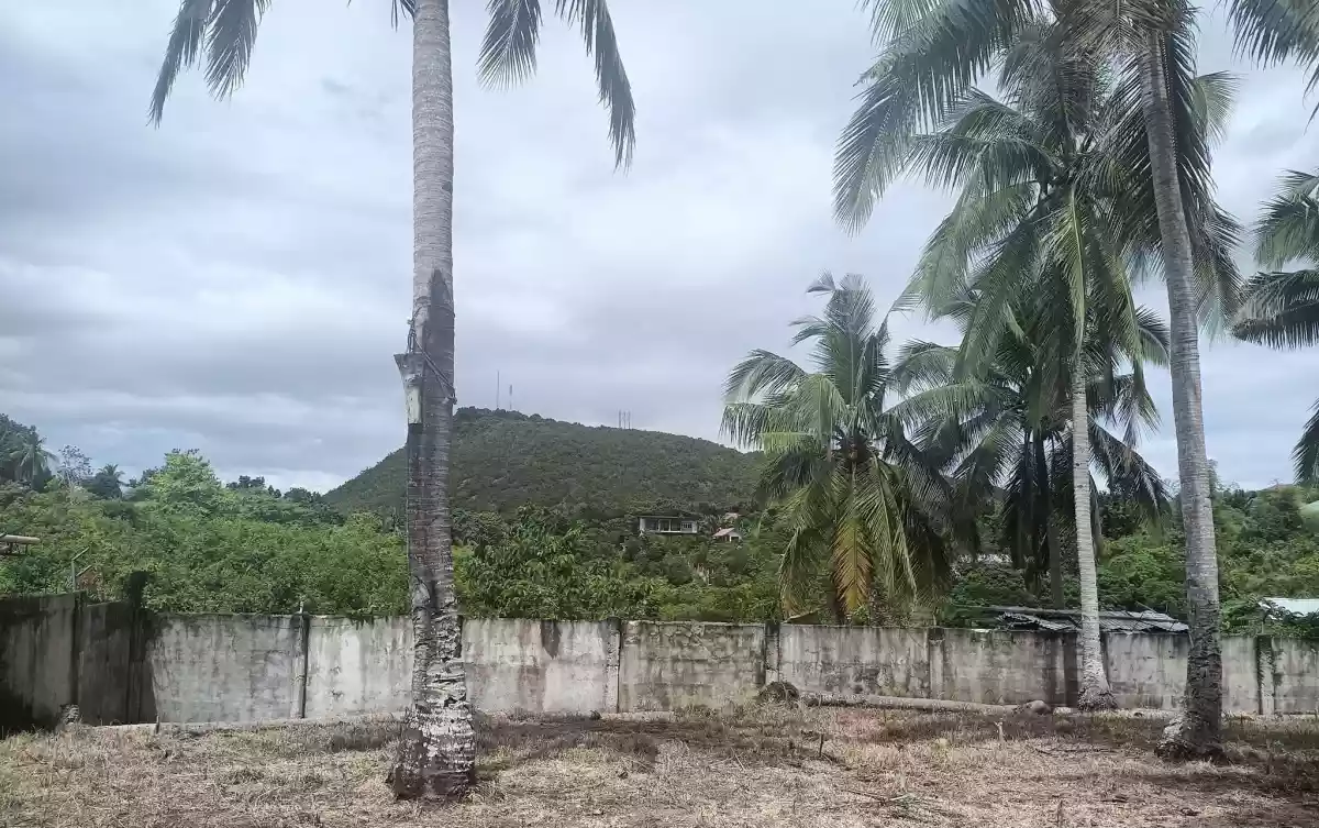Guiwanon Baclayon — Residential Lot in Bohol, Philippines — Photo 2