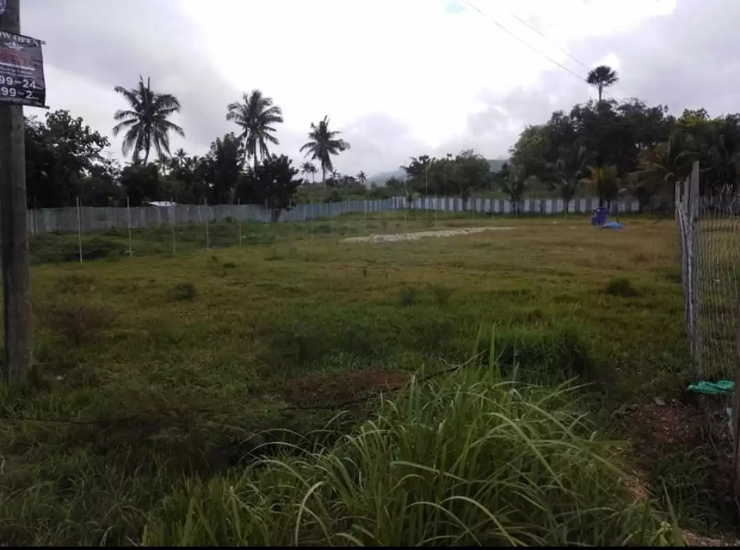 FOR SALE 1000SQM LOT IN MALINAO BADIAN