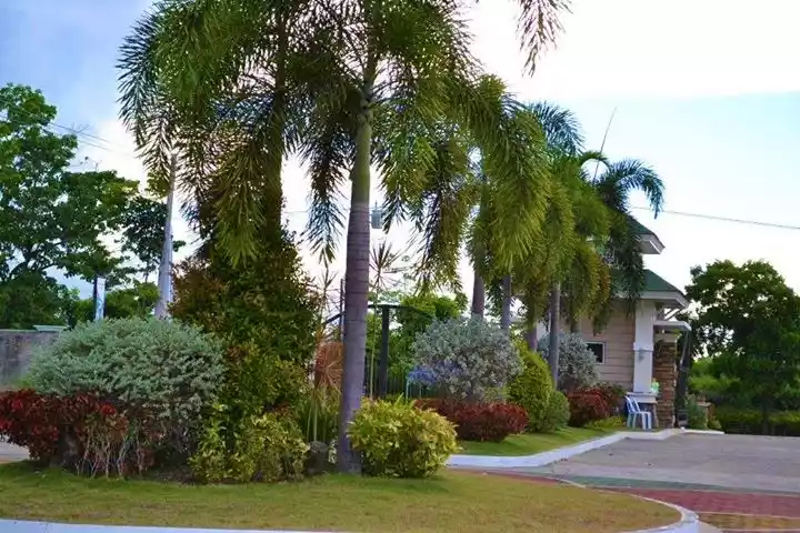 SUBDIVISION LOT FOR SALE in FRESNO PARKVIEW, LUMBIA CAGAYAN DE ORO - photo 4