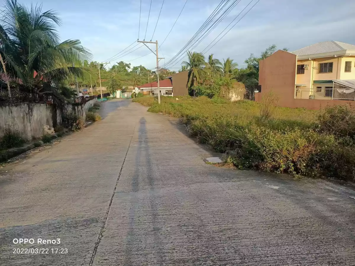 Residential lot for sale - photo 6