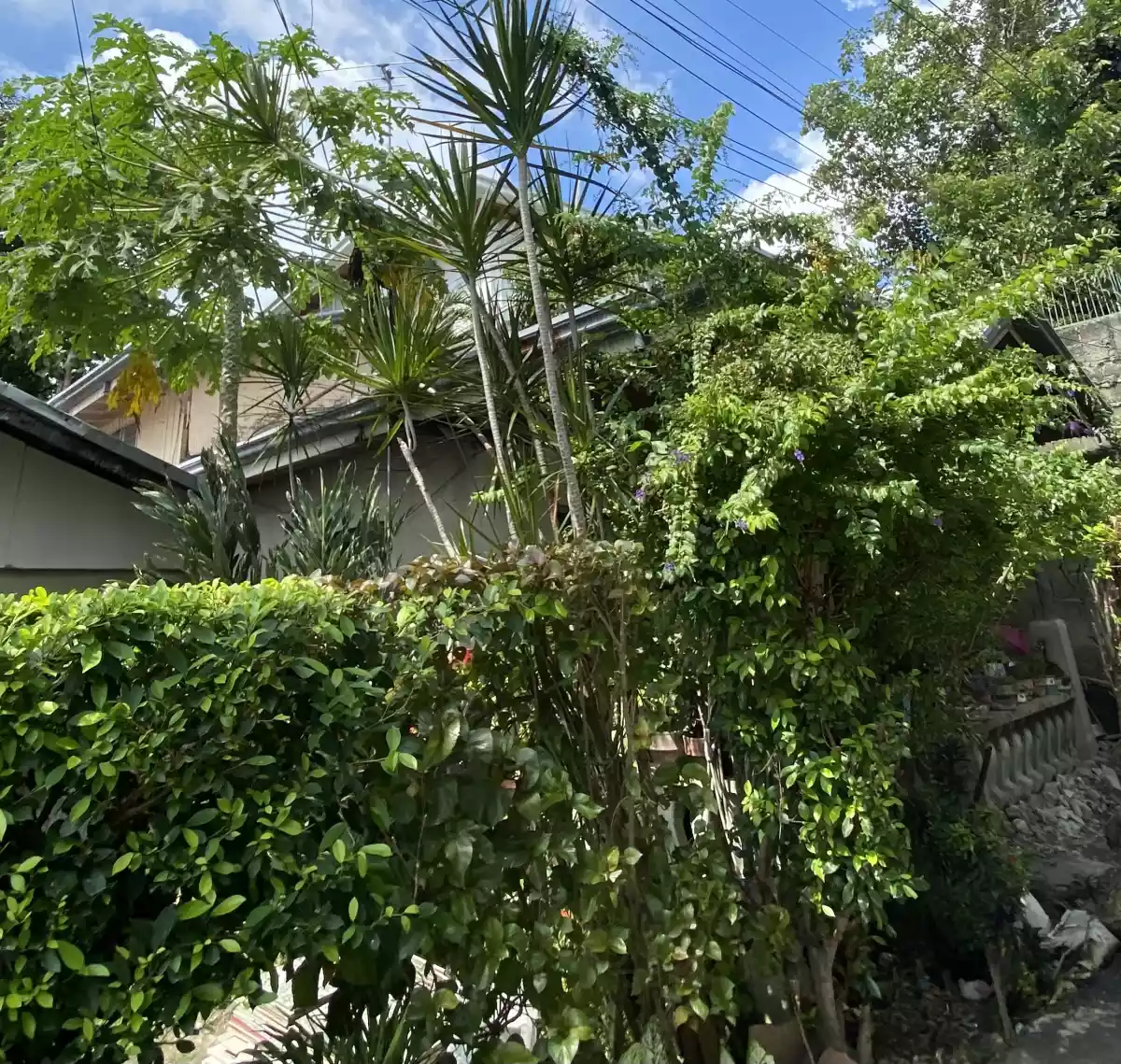 House for Sale in Talisay City Cebu - photo 2