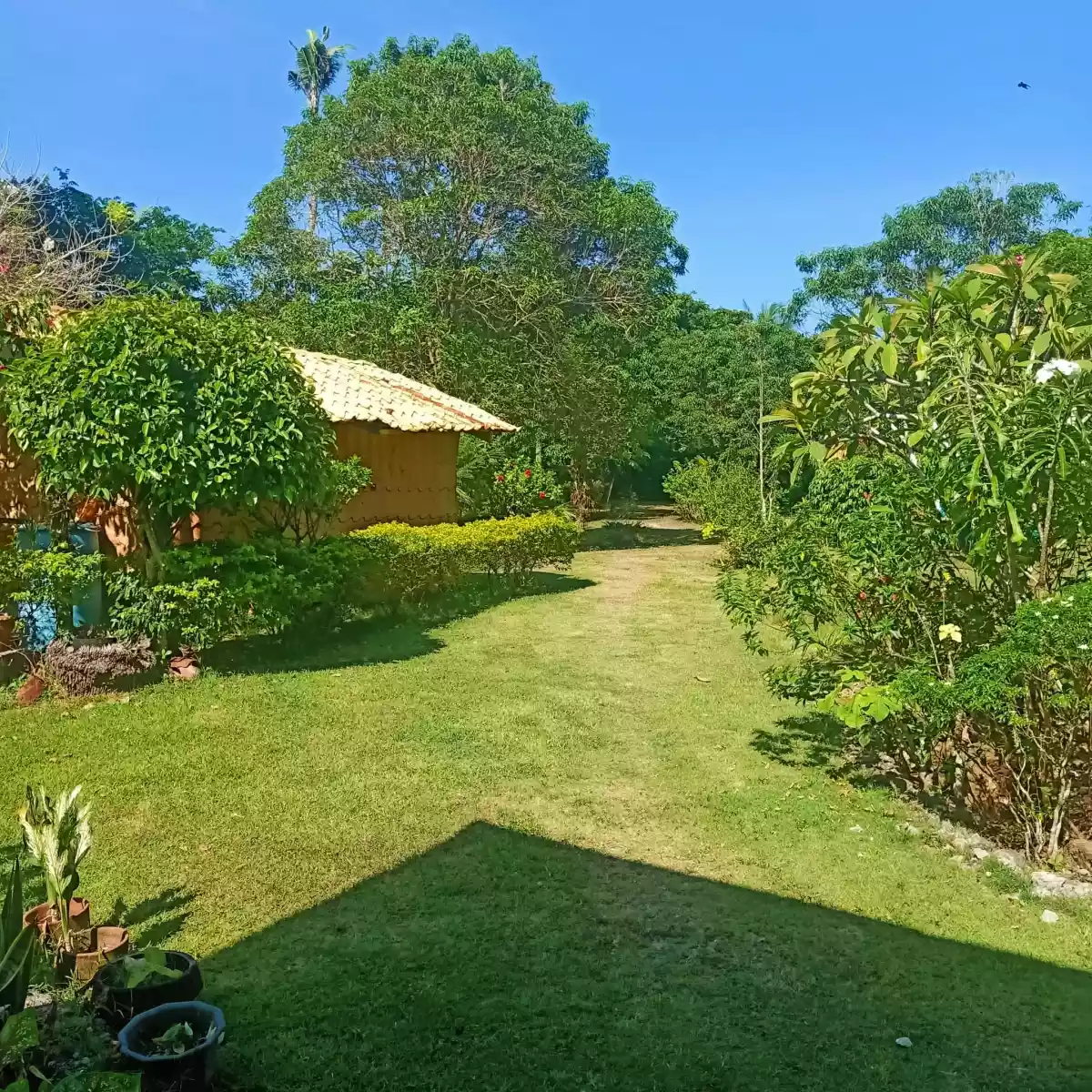 Beach house & lot - photo 2