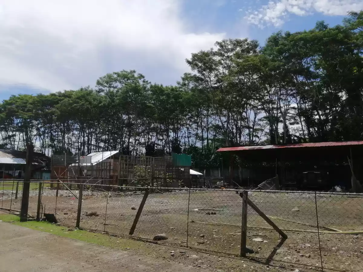 COMMERCIAL & RESIDENTIAL LOTS FOR SALE IN BAYUGAN CITY!  - photo 7
