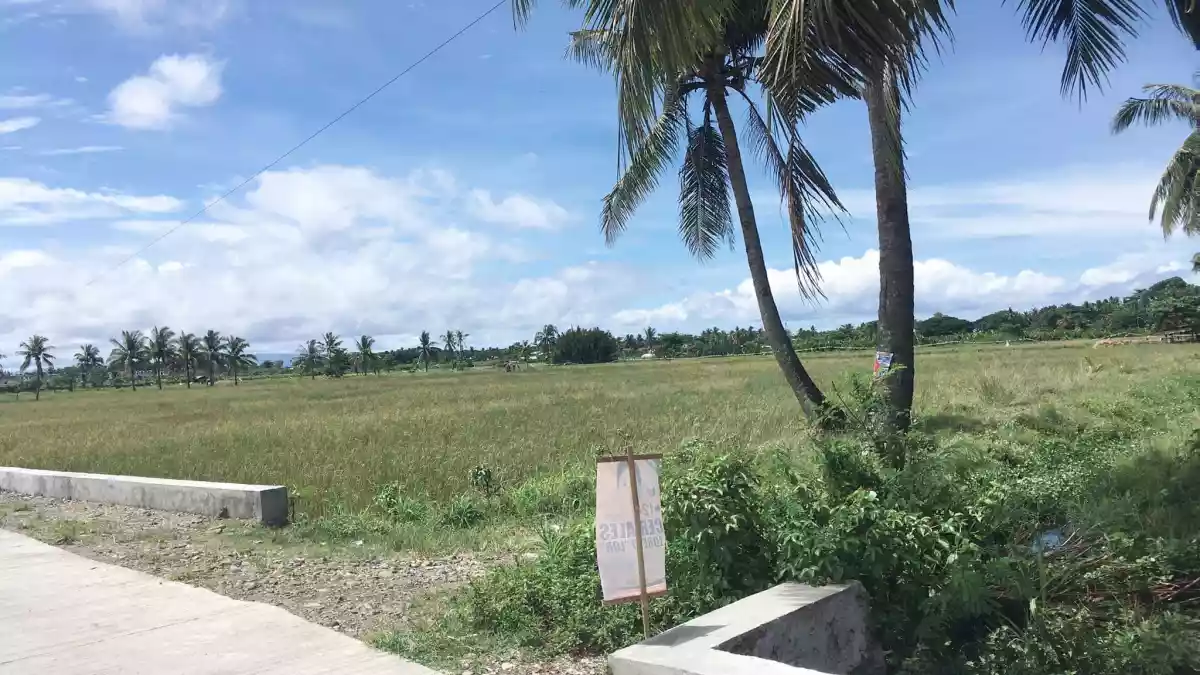 FOR SALE Agricultural /residential lot - photo 2