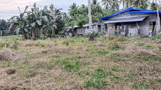 2 lots, 300 sqm each lot for Sale in Polonuling, Tupi, South Cotabato — Residential Lot in Tupi, South Cotabato, Philippines — Photo 4