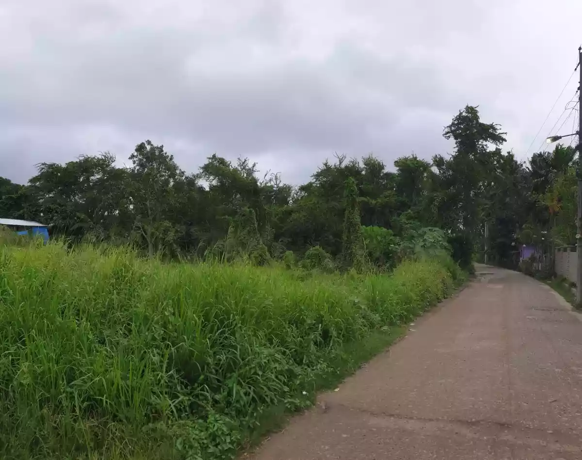 RESIDENTIAL LOT FOR SALEâ€¼ï¸ Lumiyap road, Divisoria,Zamboanga City — Residential Lot in Zamboanga del Sur, Philippines — Photo 5