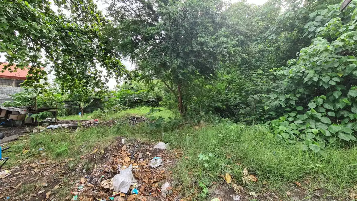 1,036sqm Commercial Lot - photo 2