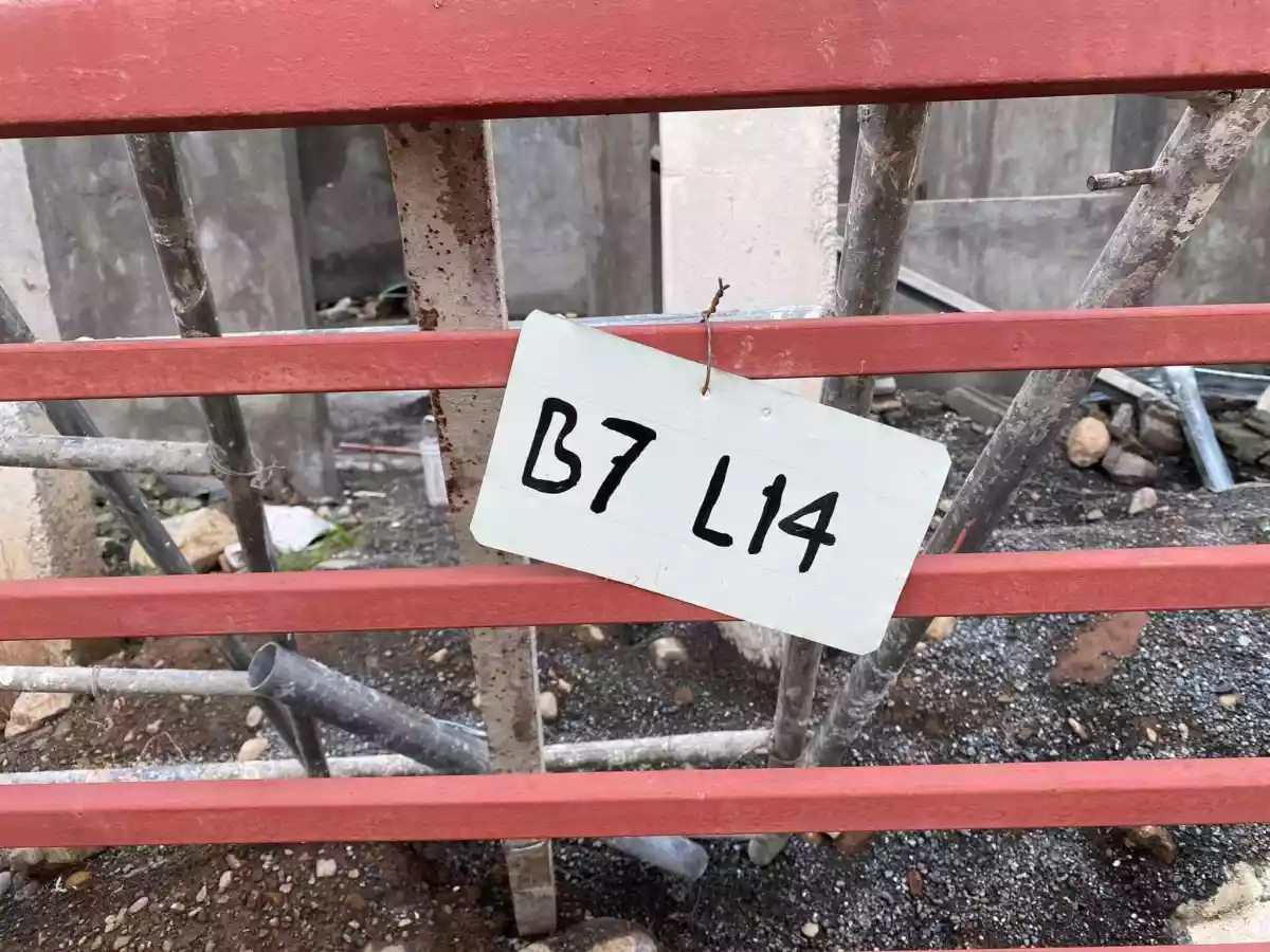 House and Lot - photo 3