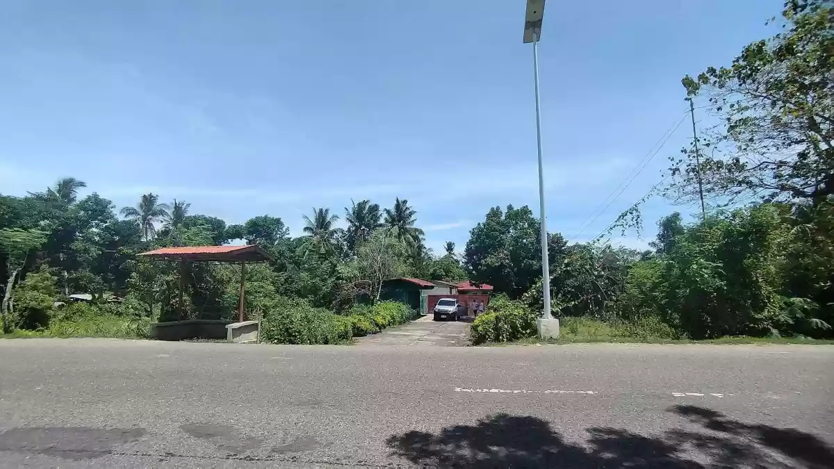 Commercial Lot along Moalboal Highway - photo 6