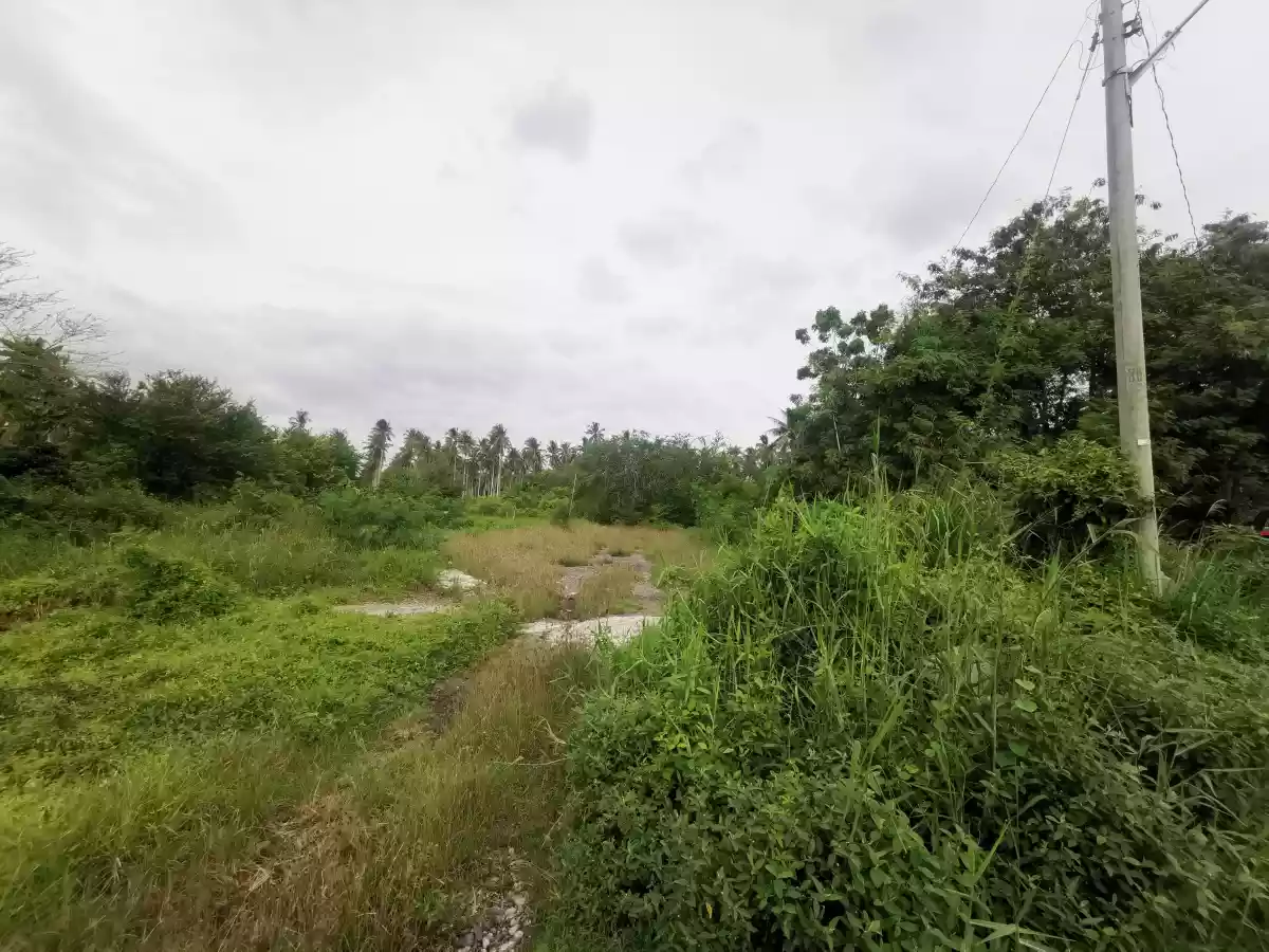 Open photo 14 of 19 — Subdivided Lots at Barangay Ligaya at the back of Agan Ligaya Subdivision and UST Hospital alongside of the proposed CityMall