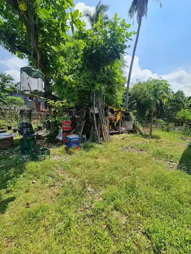 Prime Lot for Sale — Residential Lot in Cebu City, Cebu, Philippines — Photo 3