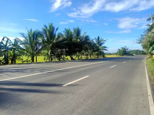 Land For Sale along National Highway in Butuan — Agricultural Lot in Butuan, Agusan Del Norte, Philippines — Photo 3