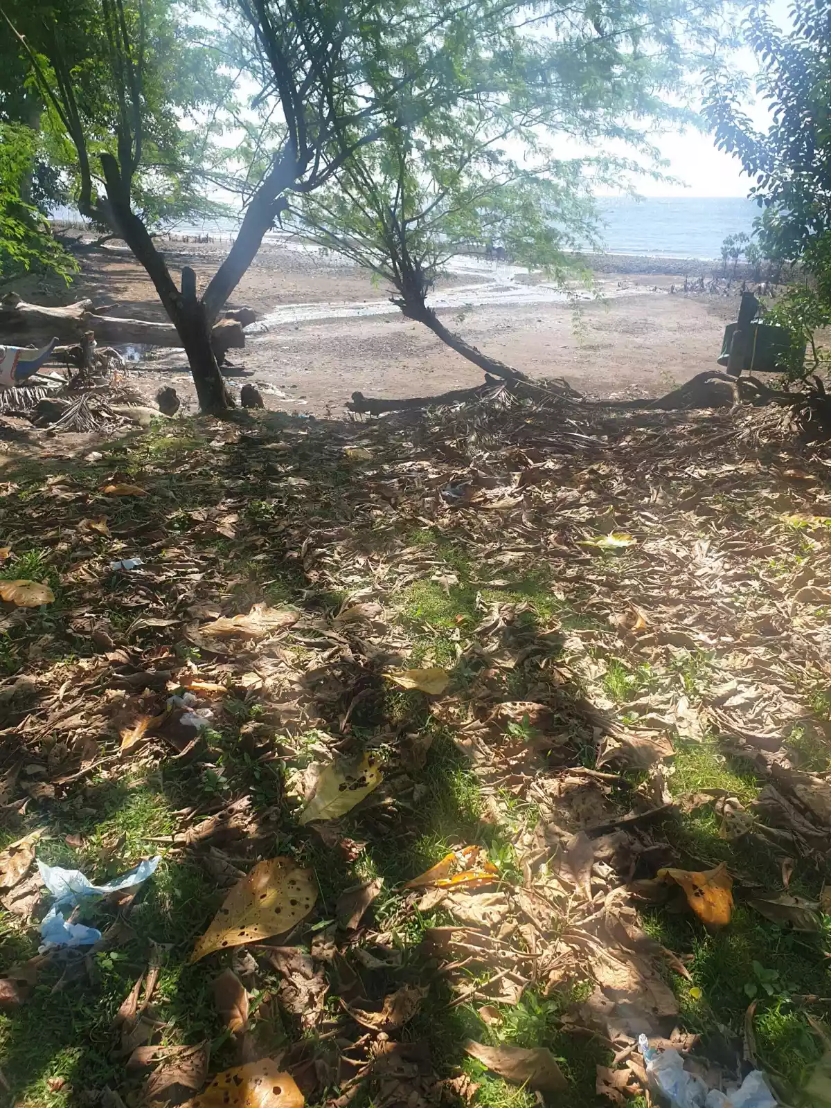 BEACH LOT FOR SALE — Agricultural Lot in Negros Oriental, Philippines — Photo 5