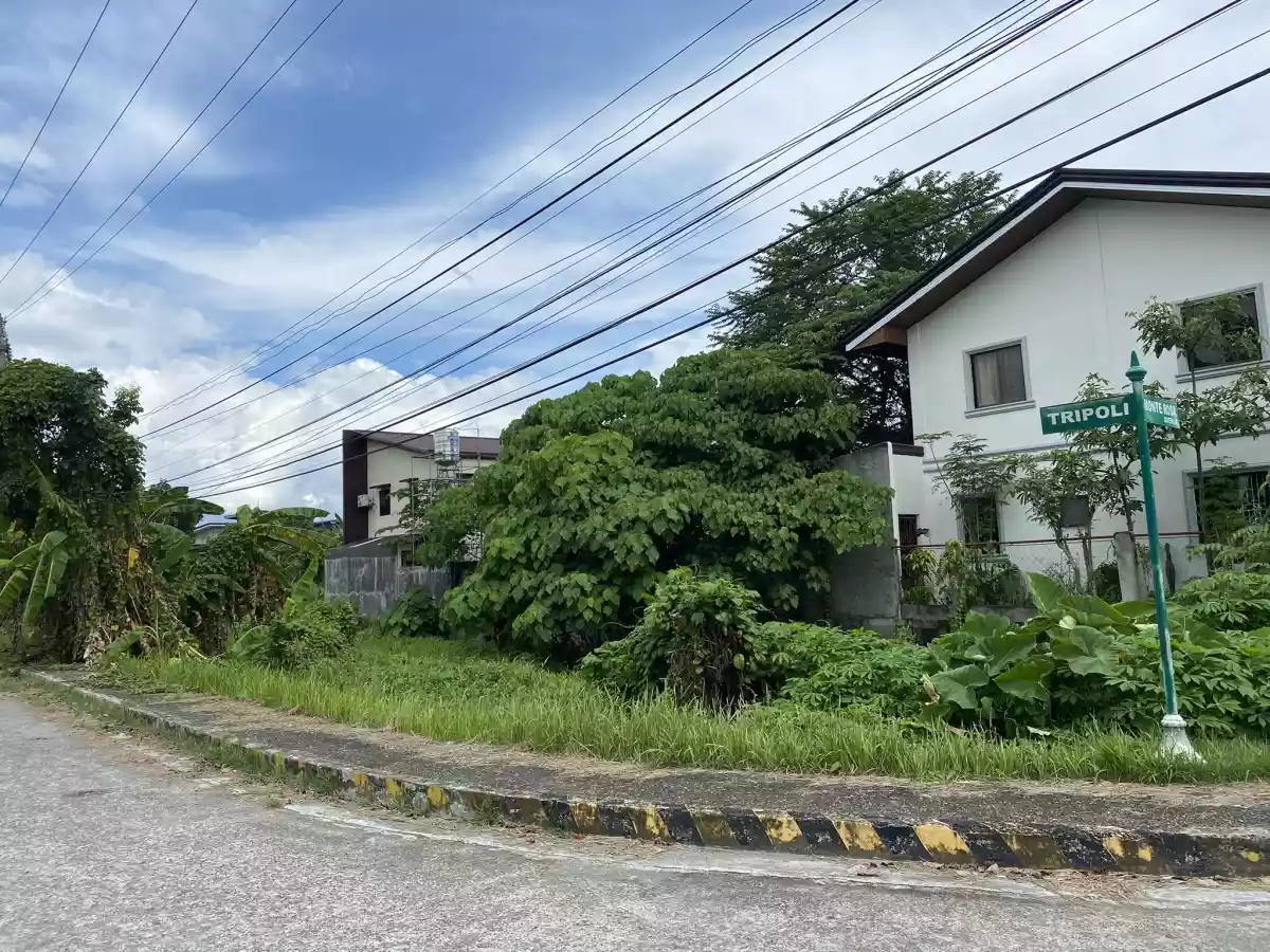 SACRIFICE SALE!!! CORNER LOT — Residential Lot in Monterosa Iloilo Residential Estate, Mandurriao, Iloilo City — Photo 4