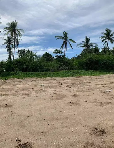 Beach Lot for Sale — Beach Lot in Masbate, Philippines — Photo 5